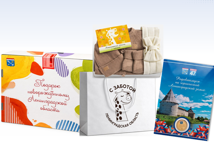 Меры поддержки семей при государственной регистрации рождения ребёнка в Ленинградской области