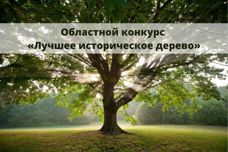 «Лучшее историческое дерево»